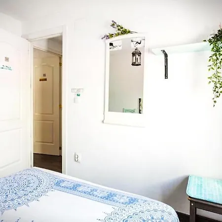 Homestay Bright With Ac And Rooftop Terrace In The Heart Of Cadiz